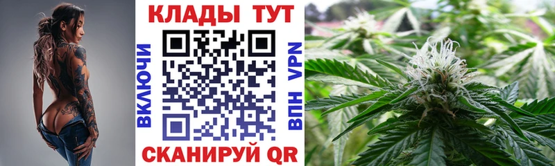 Виды наркотиков купить Черемхово omg зеркало  Амфетамин  Меф  Канабис  A-PVP  ГАШИШ 