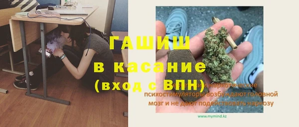 стаф Белокуриха