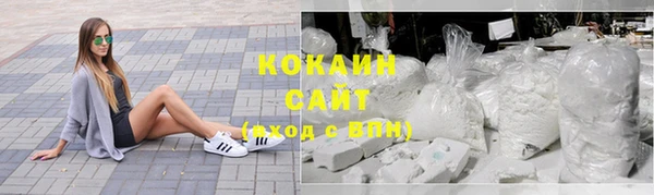 стаф Белокуриха
