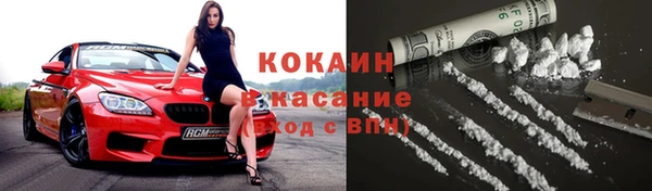 стаф Белокуриха