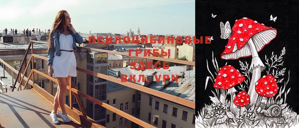 стаф Белокуриха