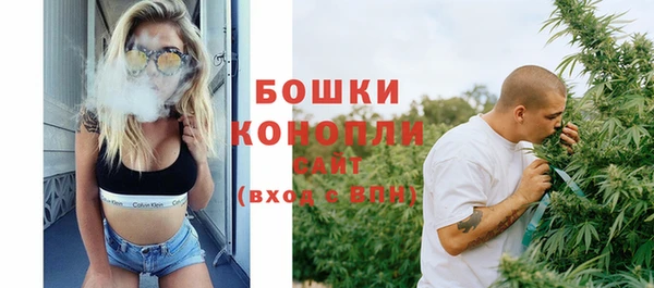 стаф Белокуриха