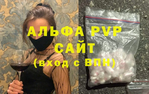 стаф Белокуриха
