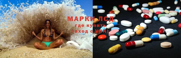 стаф Белокуриха